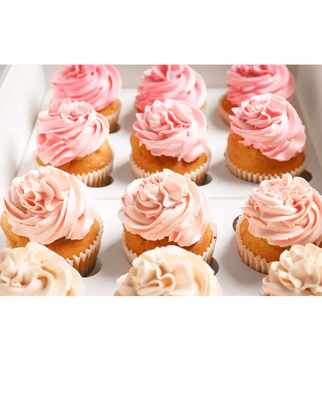 Cupcakes (Basic& Elevated)